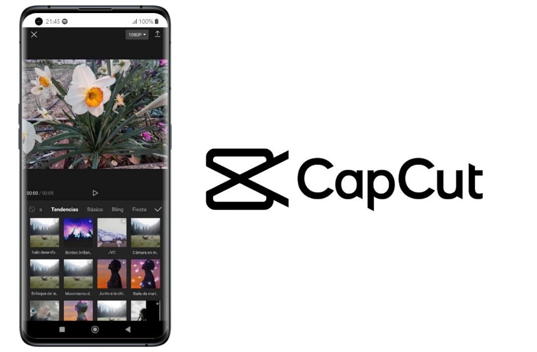 CapCut Screenshot